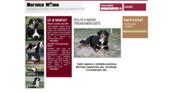 Desktop Screenshot of bernicehome.cz